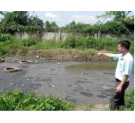 Xử lý vấn nạn ô nhiễm từ chăn nuôi heo bằng hầm biogas hiệu quả nhưng chưa được nhân rộng
