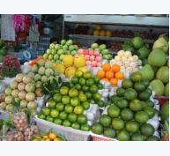  Trái cây Việt tiếp tục chiếm ưu thế trên thị trường