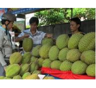Giải pháp hạn chế trái cây dội chợ