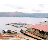 Toàn tỉnh Sơn La có 21 hợp tác xã và doanh nghiệp nuôi thủy sản