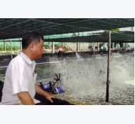 Ninh Thuận: Đòn bẩy phát triển nuôi tôm nước lợ