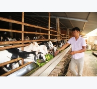 Sở hữu mô hình nuôi dê lớn nhất tỉnh Đồng Nai