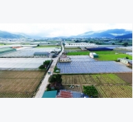Vựa rau lớn nhất Lâm Đồng sau 5 năm tái cơ cấu nông nghiệp