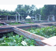 Tây Ninh: Kinh nghiệm làm giàu từ mô hình nuôi lươn công nghiệp