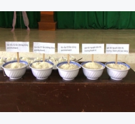 8 năm khôi phục thương hiệu gạo Tài Nguyên đặc sản