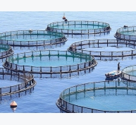 Hình ảnh về chín mô hình sinh thái cho nuôi trồng thủy sản