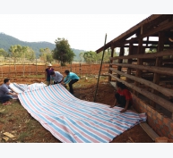 Phòng chống dịch bệnh cho gia súc gia cầm mùa mưa bão