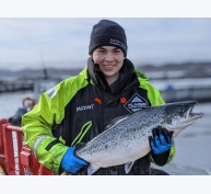 Thu hoạch mẻ cá hồi nuôi hữu cơ đầu tiên tại Scotland