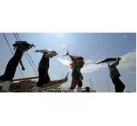 WWF, Greenpeace Bất Đồng Với Philippines Về Khai Thác Cá Ngừ