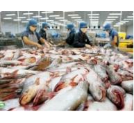 Sửa đổi quy định nuôi chế biến và xuất khẩu cá tra