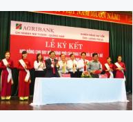 Agribank đưa vốn vào nông nghiệp, nông thôn