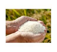 Indonesia dự định nhập khẩu 1,5 triệu tấn gạo từ Việt Nam và Thái Lan