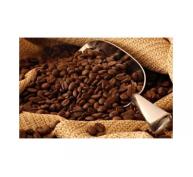 Giá cà phê trong nước ngày 23/09/2015 tiếp tục giảm thêm 500 ngàn đồng/tấn