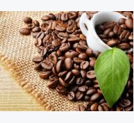 Phân tích kỹ thuật thị trường cà phê ngày 19/09/2015
