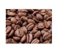 Giá cà phê trong nước ngày 09/09/2015 tăng trở lại 200 ngàn đồng/tấn