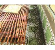 Tập huấn nuôi lươn không bùn