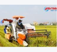 Hạn chế các cuộc họp để tập trung chỉ đạo thu hoạch cây trồng hè thu