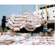 Xuất khẩu gạo của Việt Nam đã đạt 3,63 triệu tấn
