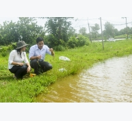 Tăng cường giải pháp quản lý ao tôm trong mùa mưa