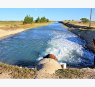 Xử lý hiệu quả nước thải nuôi thủy sản bằng tập đoàn vi khuẩn
