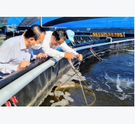 Phục hồi nuôi trồng thủy sản, tạo đà xuất khẩu cuối năm