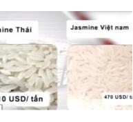 Vì sao gạo Việt lép vế trên thị trường quốc tế