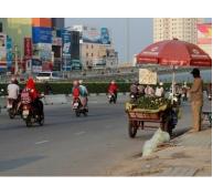 Cam sành giá siêu rẻ ở Sài Gòn bị nghi hàng Trung Quốc
