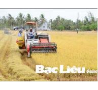 Cơ giới hóa 84% khâu thu hoạch lúa