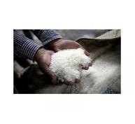 Giá gạo Việt Nam xuất khẩu lao dốc