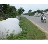 Nhộn nhạo hầm biogas