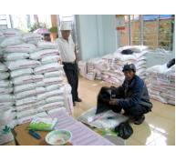 Bayer Việt Nam hỗ trợ lúa giống cho nông dân bị thiệt hại