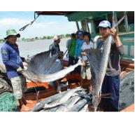 Quyết tâm làm giàu từ biển