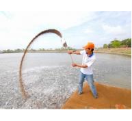 Công nghệ cao nuôi trồng thủy sản