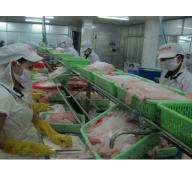 VN Pangasius muốn có sàn giao dịch TMĐT cho cá tra