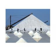 Sản xuất 102.900 tấn muối công nghiệp