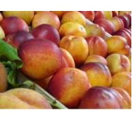 Ba Lan ký hiệp định xuất khẩu táo vào Việt Nam