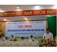 Hội nghị triển khai Đề án phát triển thương hiệu gạo Việt Nam