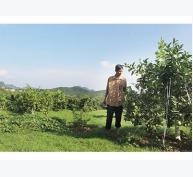 Mô hình trồng xen cây ăn quả với cà phê ở Chiềng Ban Sơn La