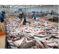 Xuất khẩu cá tra sang Ảrập Xêút tăng khá