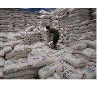 Philippines xem xét nhập khẩu thêm 1 triệu tấn gạo trong năm 2016