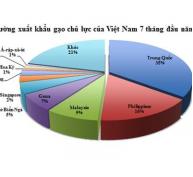 Xuất khẩu gạo nhiều tín hiệu khả quan