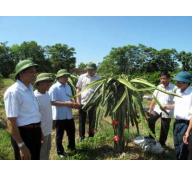 Sức lan tỏa lớn từ Chương trình Tự hào Nông dân Việt Nam