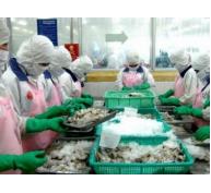 Thay đổi kiểm soát dư lượng kháng sinh thủy sản xuất khẩu Nhật Bản