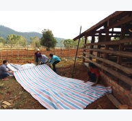 Phòng chống dịch bệnh cho vật nuôi trong mùa mưa bão