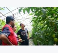 Nông nghiệp thông minh - bước đi ban đầu ở Việt Nam