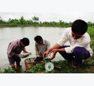 Nghệ An: Điểm nhấn mô hình thủy sản nước ngọt