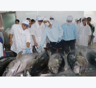 Tại sao châu Âu 'rút thẻ vàng' với hải sản Việt Nam?