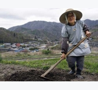 ‘Tại sao bản địa lại quan trọng?’ – một chia sẻ kinh nghiệm từ Nhật Bản