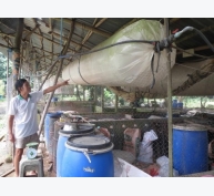 Hiệu quả việc xử lý chất thải bằng túi biogas