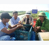 Nhân rộng mô hình nuôi tôm càng xanh trên đất lúa chuyển đổi tại Quảng Bình